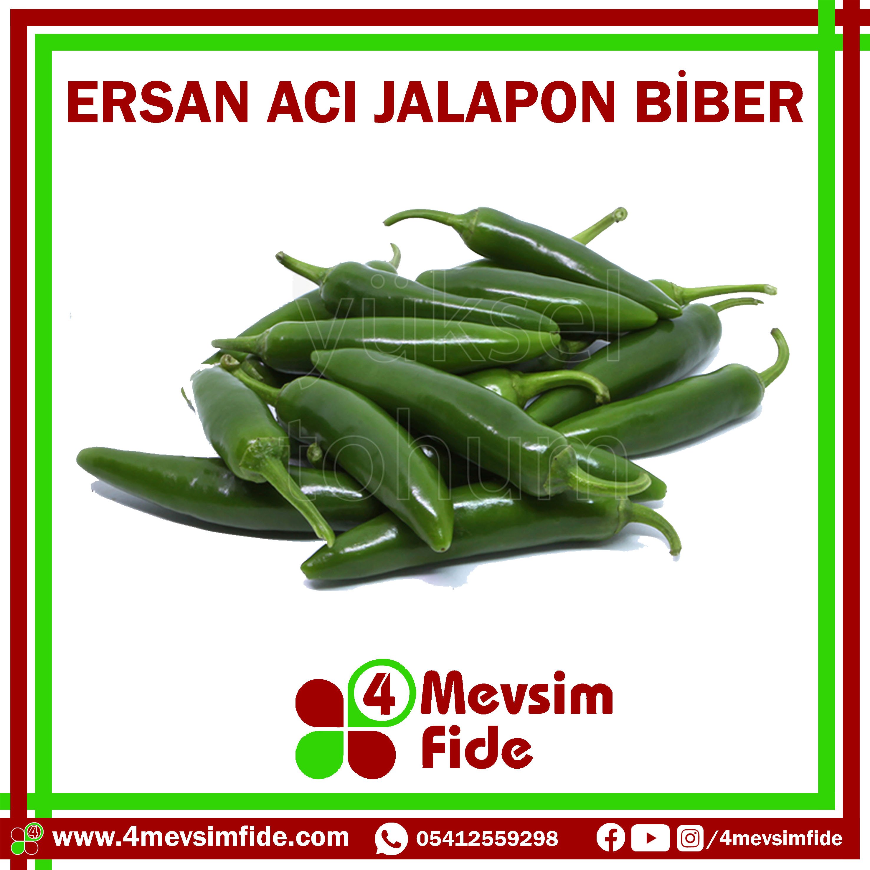 Ersan F1 Jalapon Biber